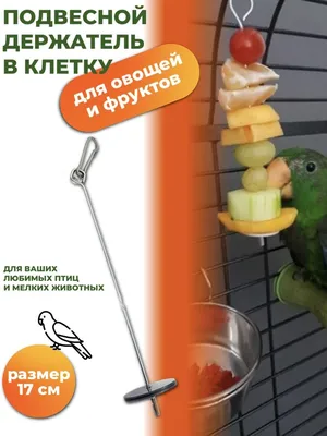 Вкусные\" гибриды из животных, овощей и фруктов - Demiart