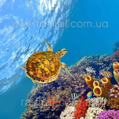 3d визуализация деревянного пола с глухой стеной, пустая комната, пустой  интерьер, внутренний фон фон картинки и Фото для бесплатной загрузки