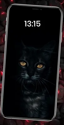 Защитное стекло для самсунг samsung galaxy а24 (A245) 5D ЛЮКС, Защитное  стекло на телефон самсунг а24 PREMIUM (ID#1890295044), цена: 178 ₴, купить  на Prom.ua