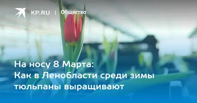 Файл:8 Марта 24а Храм Лоретанской Божией Матери.jpg — Википедия