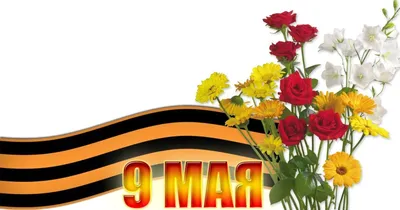 Кира - скрап - PNG / ПНГ клипарт на прозрачном фоне