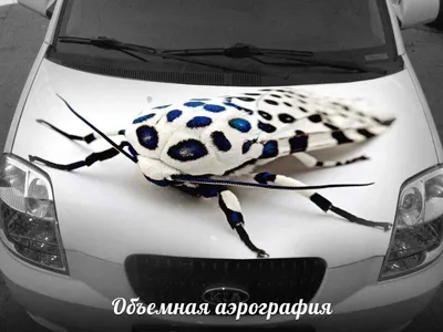 В каких странах запрещена аэрография на авто? | Пневмопортал