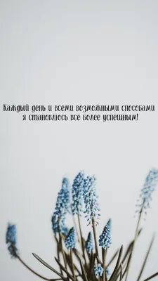 Аффирмация на успех | Аффирмативные цитаты, Мотивация, Мотивационные  картинки