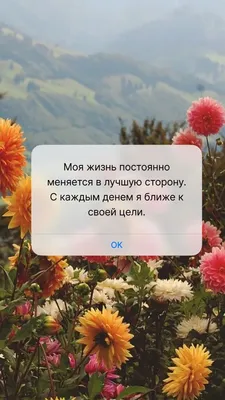 43 сильных аффирмации на деньги и богатство на каждый день