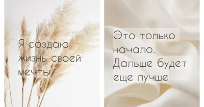 Аффирмации на каждый день | Аффирмации на здоровье | Дзен