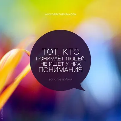 Картинки о смысле жизни — ChaVo_klub | Вдохновляющие цитаты, Красивые цитаты,  Позитивные цитаты