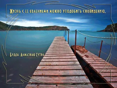 Лучшие цитаты из книг в красивых картинках онлайн — Canva