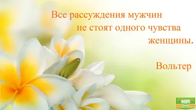 Веселые картинки афористики Афоризмы Юрия ТубольцеваХудожник Сергей