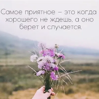 Афоризмы с картинками 3 ~ Проза (Миниатюра)