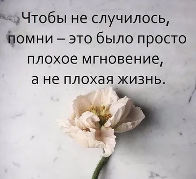 Цитаты для писателей: подборка мотивирующих картинок — Рина Ушакова