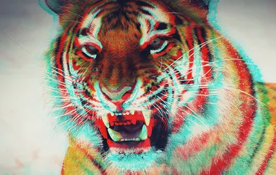 живыеобои #хисока #обои #хантерххантер #киллуа #рекомендации #аниме #... |  TikTok