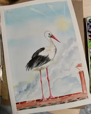 Art for Peace Contest: Аист на крыше мир на земле... / Stork on the roof of  the peace on earth ...