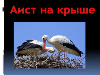 З-050 Аисты на крыше Золотое Руно купить в Москве