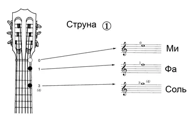 Простые аккорды для начинающих | Статьи на Струнки.ру