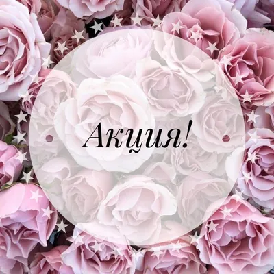 🌿ЛУЧШИЕ ИДЕИ МАНИКЮРА 💎 on Instagram: “Внимание‼️ Акция. Реклама  страничек мастеров маникюра/педикюра ВСЕГО 100₽. … | Дизайнерские ногти,  Ногти, Нейтральные ногти
