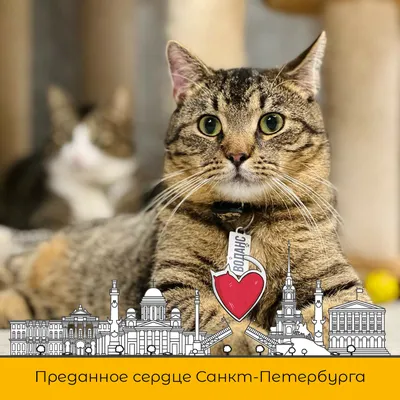 Актуальные в инстаграм обложки однотонные - фото и картинки abrakadabra.fun