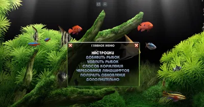 Живые обои природа - Большой аквариум