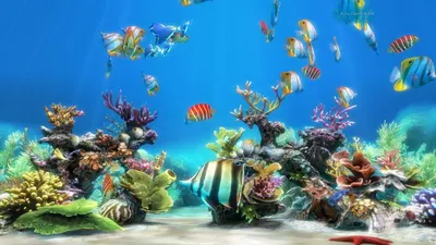 Обои силуэт, аквариум, рыбы, темный, подсветка картинки на рабочий стол,  фото скачать бесплатно