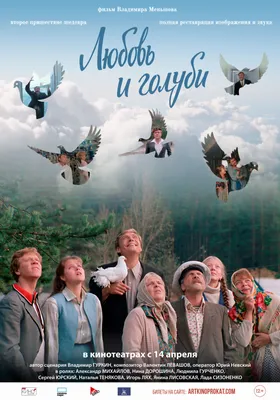 Красивые фотографии Александра Михайлова