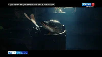Фон с Александром Войтинским для mac: фотография в HD качестве