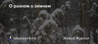 Изображения Алины Саргиной: захватывающие кадры талантливой актрисы