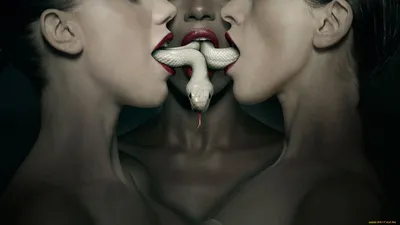 Обои American Horror Story Кино Фильмы American Horror Story, обои для рабочего  стола, фотографии american, horror, story, кино, фильмы, американская,  история, ужасов Обои для рабочего стола, скачать обои картинки заставки на  рабочий
