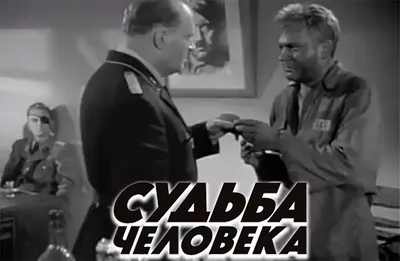 Фото Андрея Соколова, пленяющие сердца поклонников