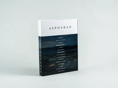 Скачать фото Андрея Звягинцева бесплатно