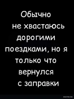 30 новых анекдотов про котов: с картинками и без | Замечания на полях  чепчика. | Дзен