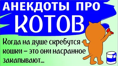 Прикольные картинки анекдоты и всякое такое. - Страница 50 - Общалка - (10  лет) NovFishing: Форум рыбаков и охотников