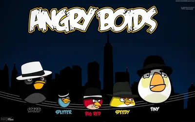 Скачать обои птицы, red, angry birds, злые птицы, видеоигры, энгри бердс,  раздел минимализм в разрешении 1920x1080