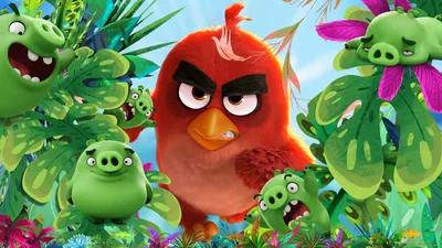 Angry Birds. Обои для рабочего стола. 1920x1080