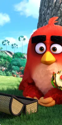 Обои на рабочий стол Птицы из игры Angry Birds, обои для рабочего стола,  скачать обои, обои бесплатно
