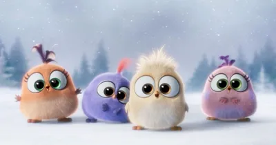 Обои игра, angry birds на рабочий стол