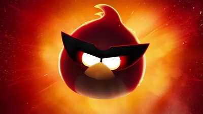 Angry birds на природе - обои на рабочий стол