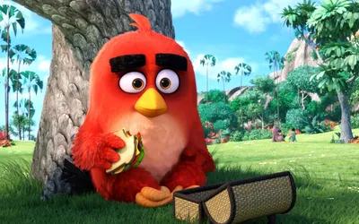 Angry Birds без рекламы и доната стала доступна в Apple Arcade