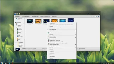 Wallpaper Engine: как скачать, установить и настроить живые обои на ПК