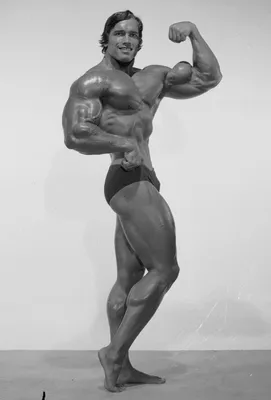 Картинка Арнольда Шварценеггера в формате png
