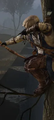 Картинка Assassin's Creed Assassin's Creed 3 штаты Воители Игры