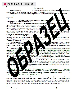 Жалоба в Инстаграм на авторские права | Дело Чести | Дзен