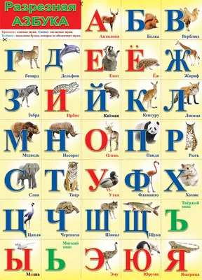 Разрезная азбука в картинках и рисунках для распечатки