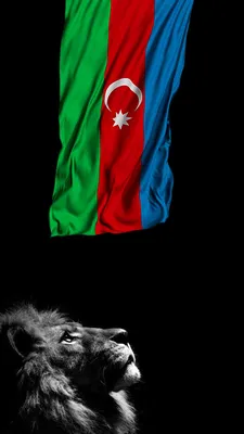 4K HD Azərbaycan bayrağı və Aslan divar kağızı. Azerbaijan Flag and Lion  wallpaper | Азербайджан, Мусульманки, Стиль