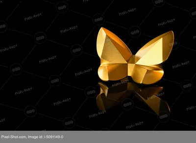 Картина Голубые и золотые бабочки на темном фоне 50х70см - купить по низкой  цене в интернет-магазине OZON (1171394561)