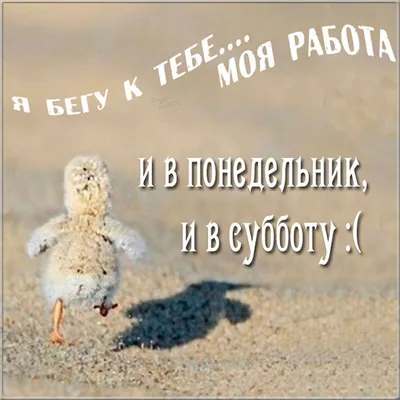Бегом бегу на работу | Будни предпринимателя АКВАРЕЛЬ КАМЫШИН | Дзен