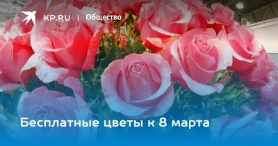 Бесплатные цветы к 8 марта - KP.RU
