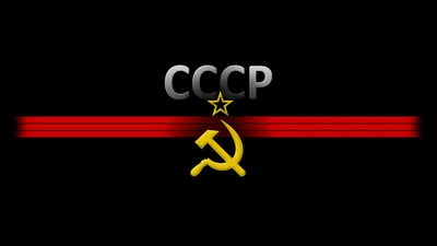 Обои на телефон, скачать бесплатно картинки, фото и заставки для телефона |  mob.org