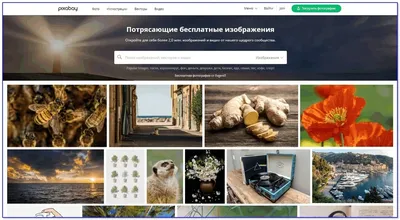 Конструктор сайтов: создать сайт онлайн бесплатно самому — LPmotor