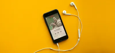 Связной» временно позволяет бесплатно получить абсолютно любой смартфон в  России