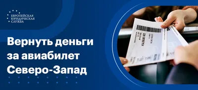 Как купить билет на самолет несовершеннолетнему: можно ли подростку летать  одному