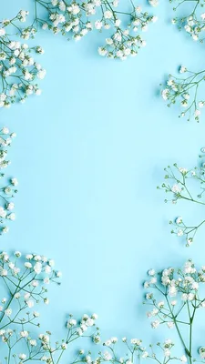 26+ Бирюзовые обои на телефон от yvinogradova